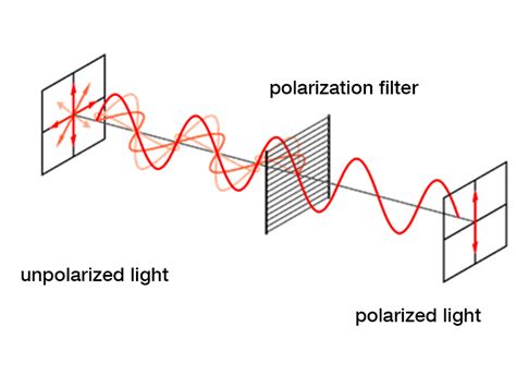 polarimetry wiki